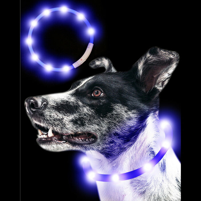 Qbit 光る首輪