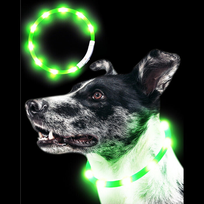 Qbit 光る首輪