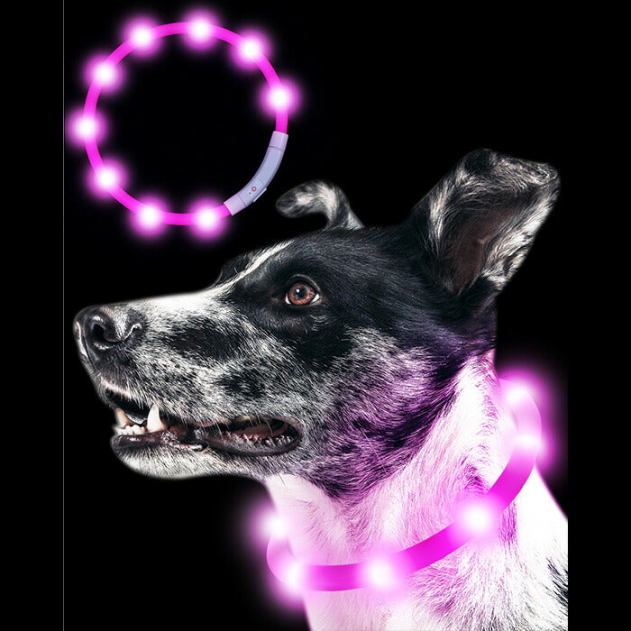 Qbit 光る首輪